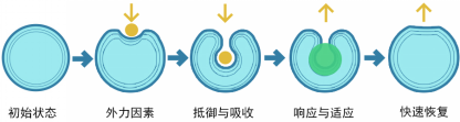 鸿运国际·(中国)首页入口-鸿运hv官网欢迎您